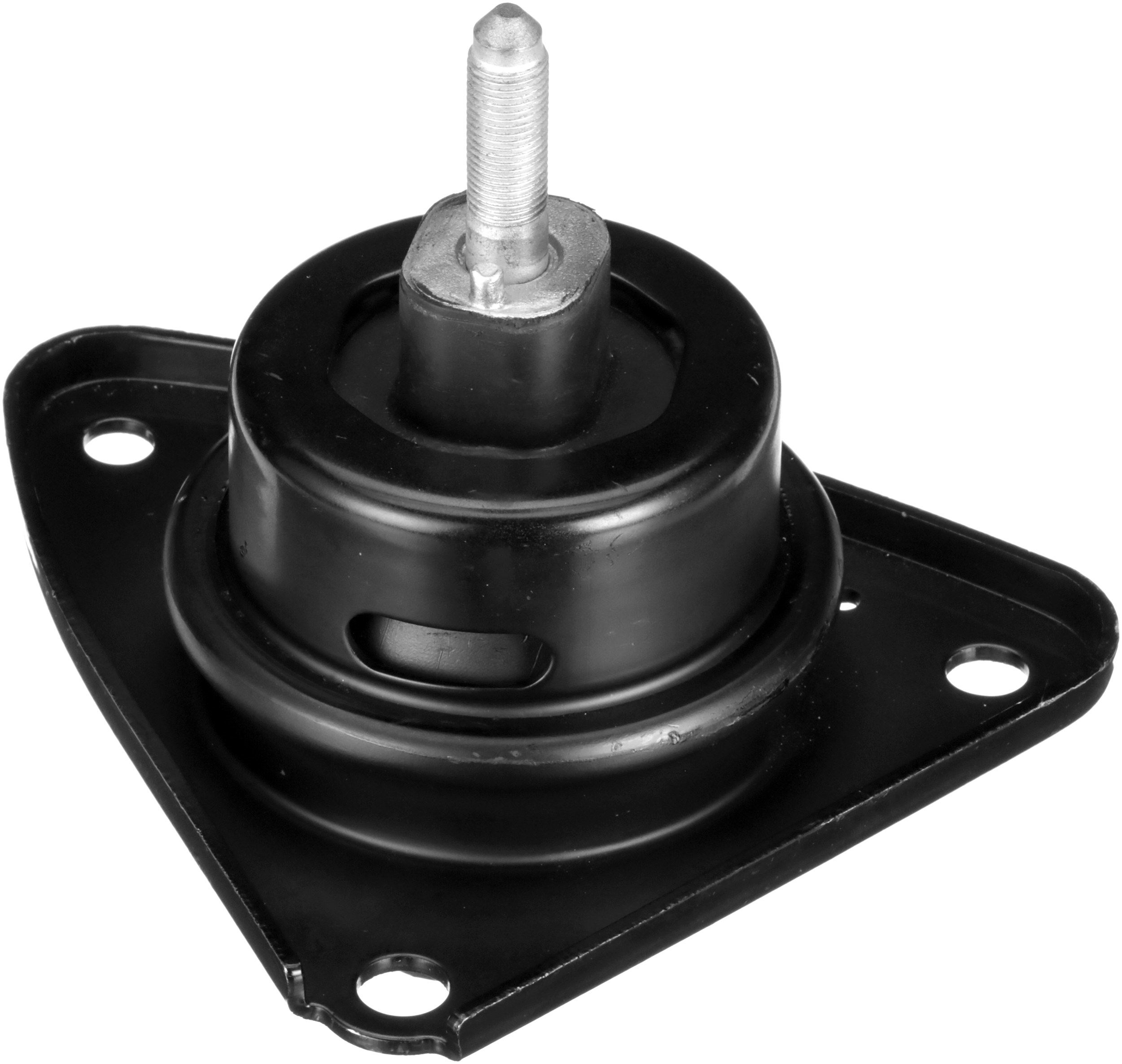R55629