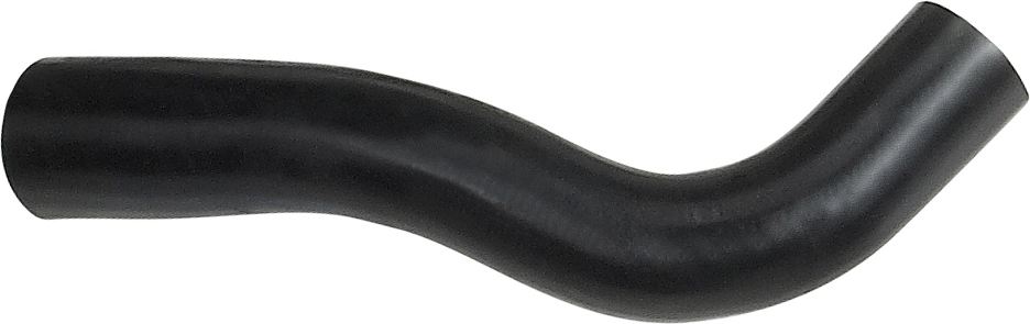 R25124