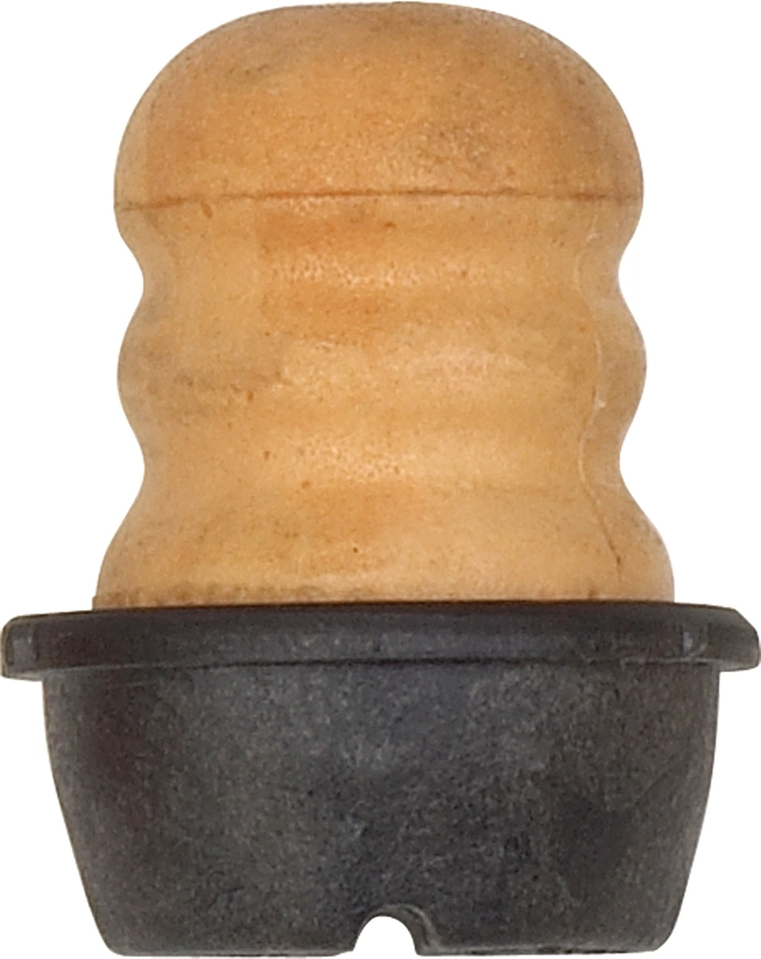 R55176