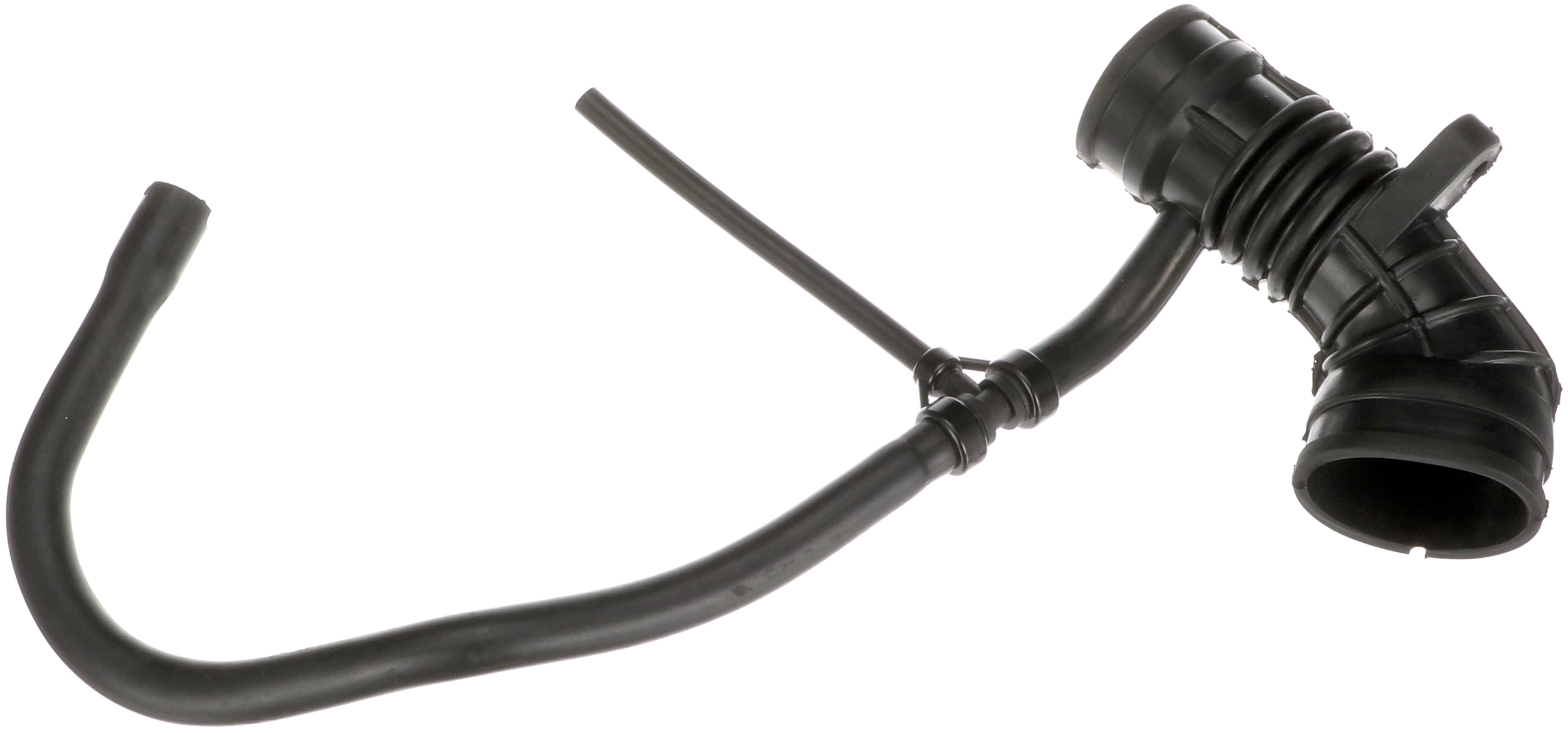 R11119