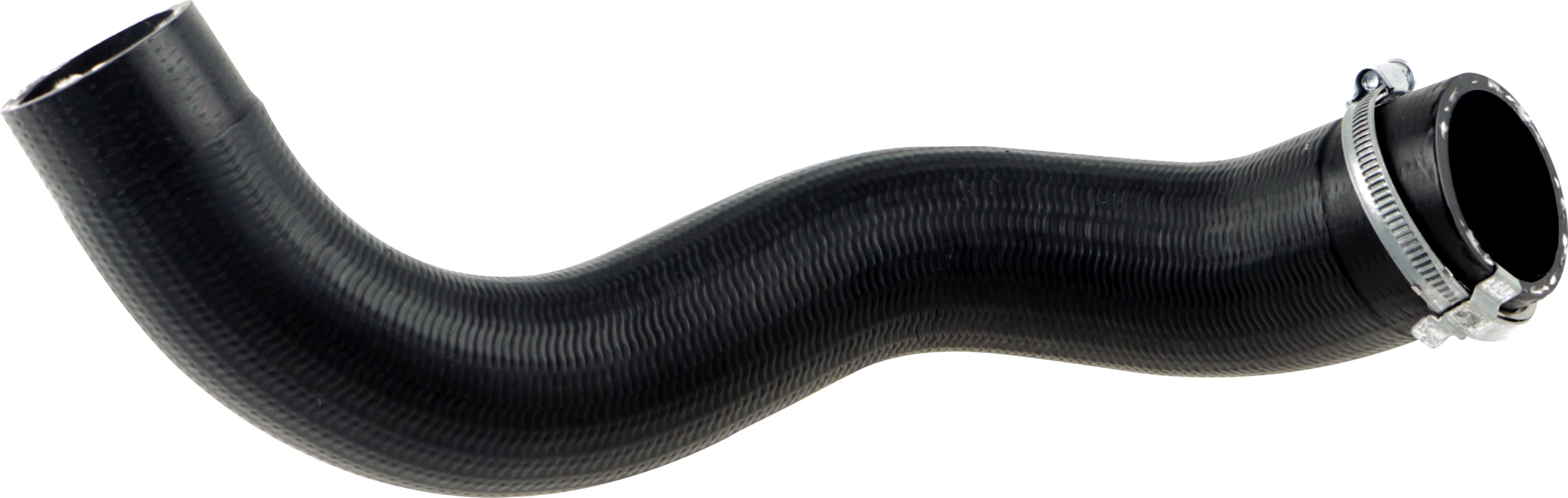 R31219