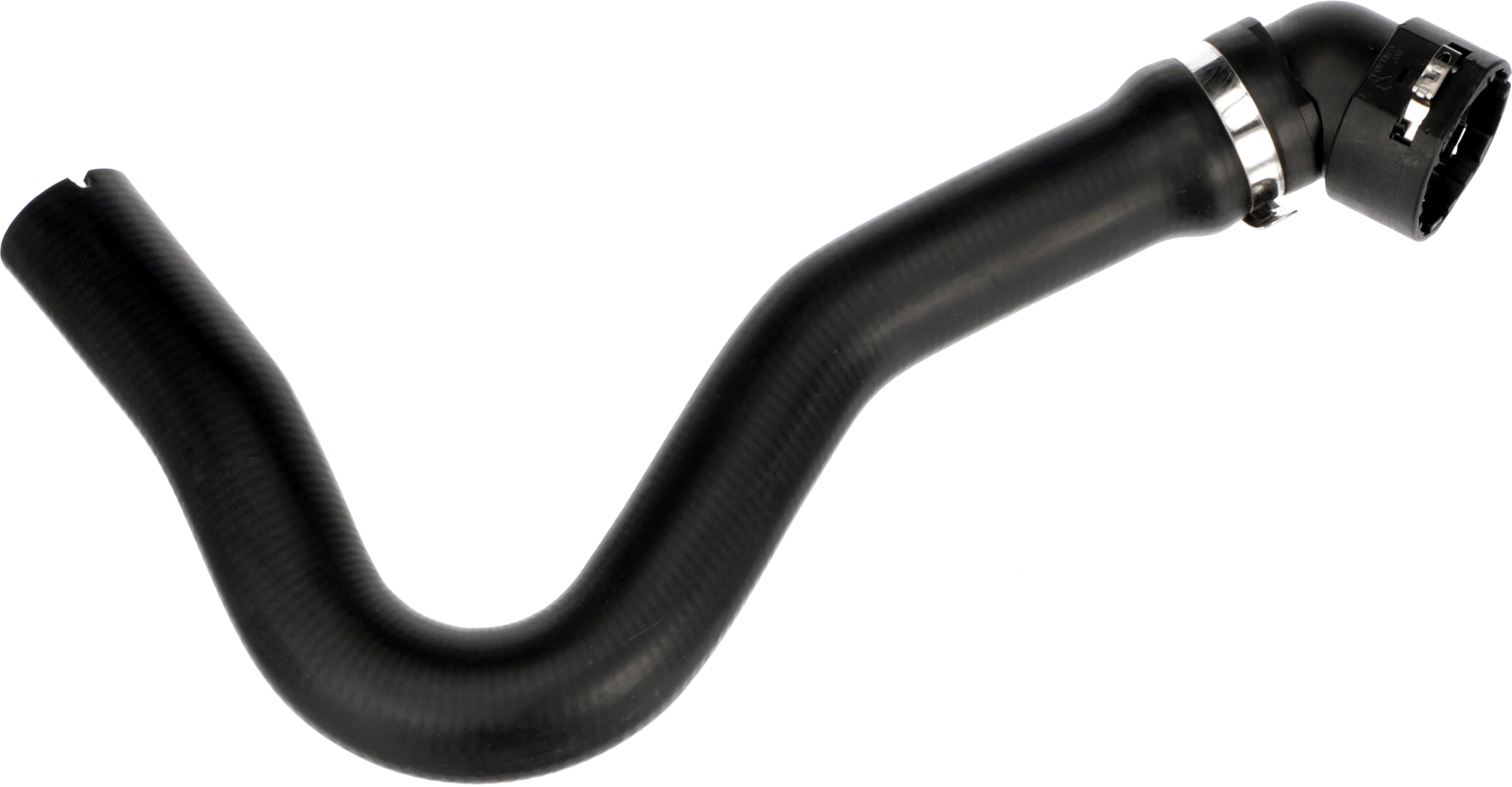 R11851