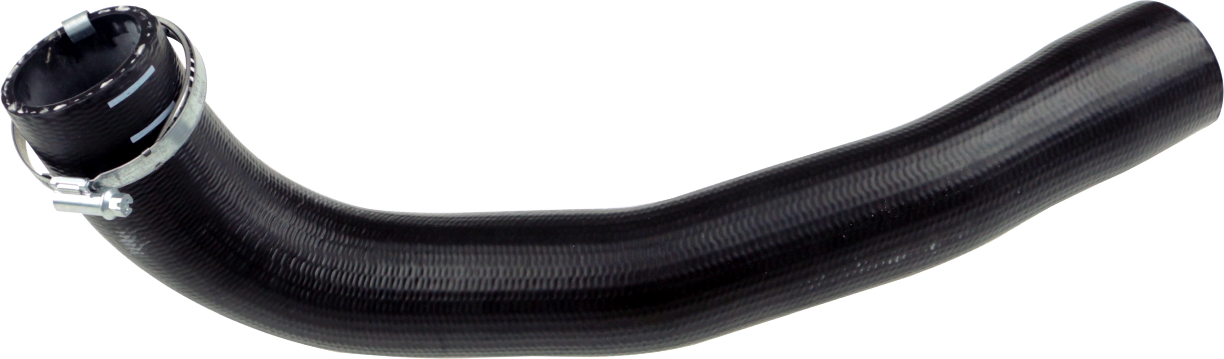 R31254