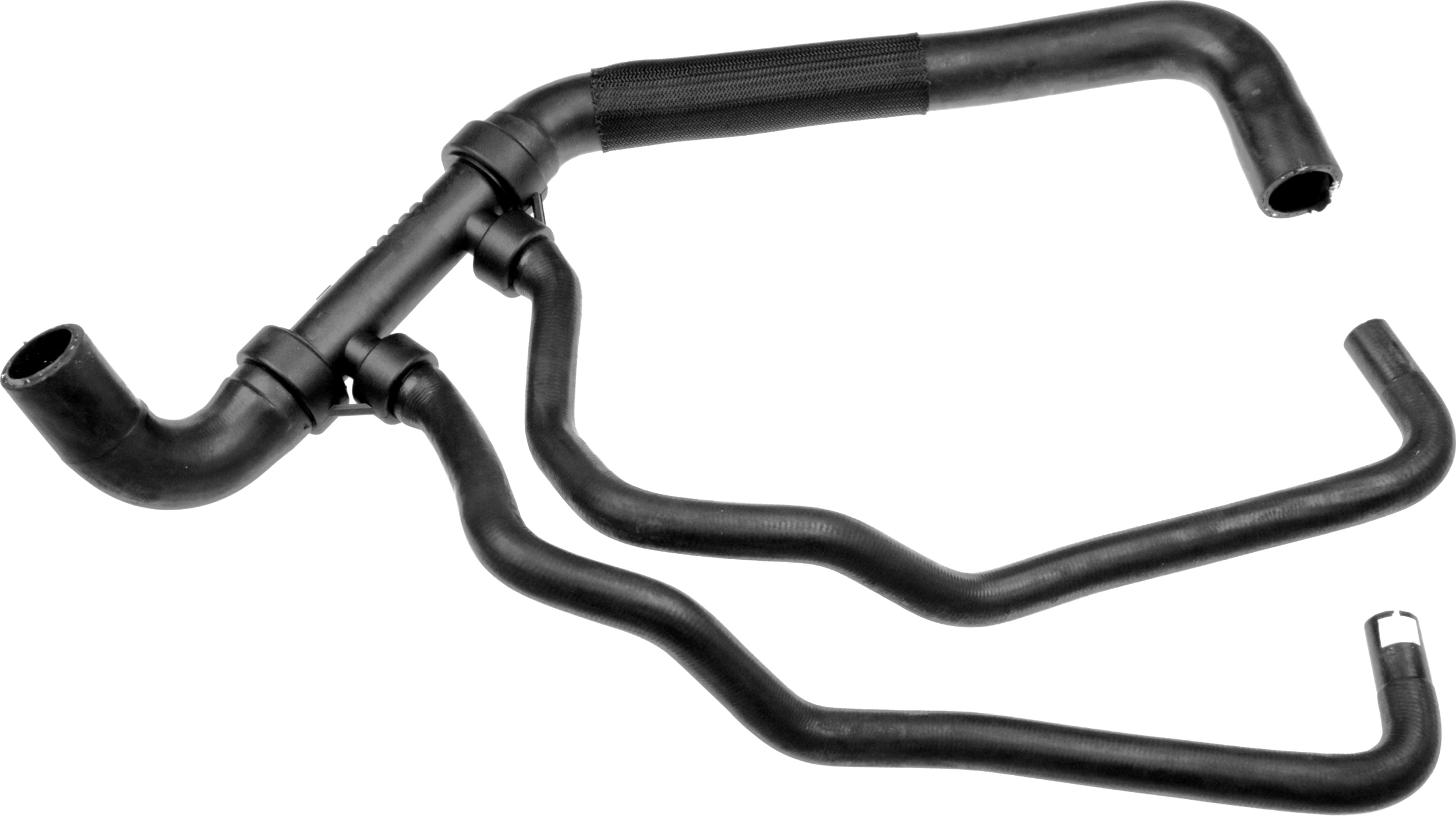 R12704