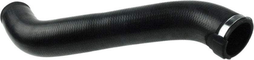 R25244