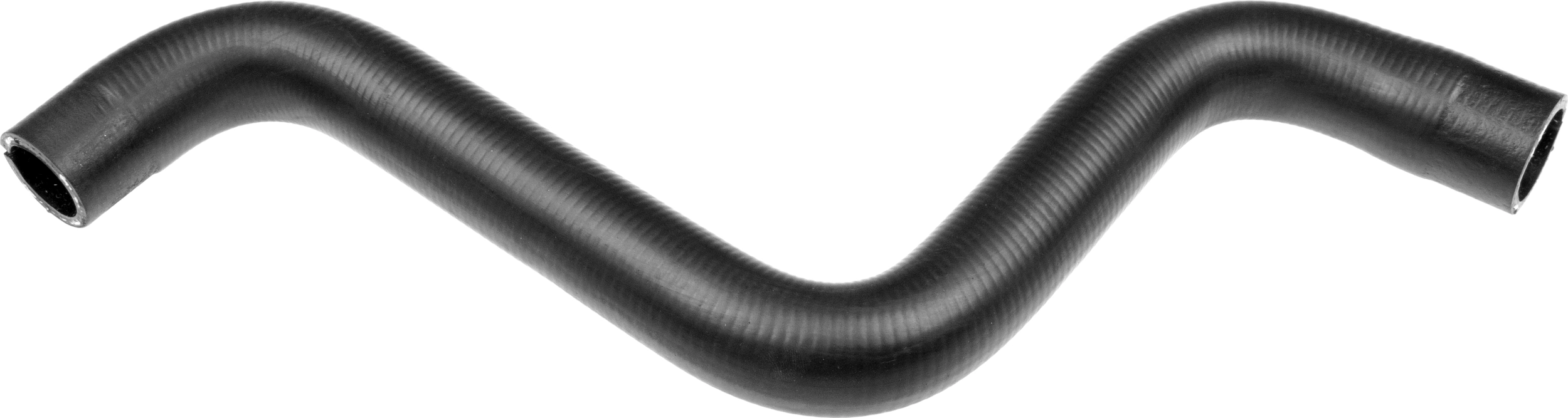 R11831