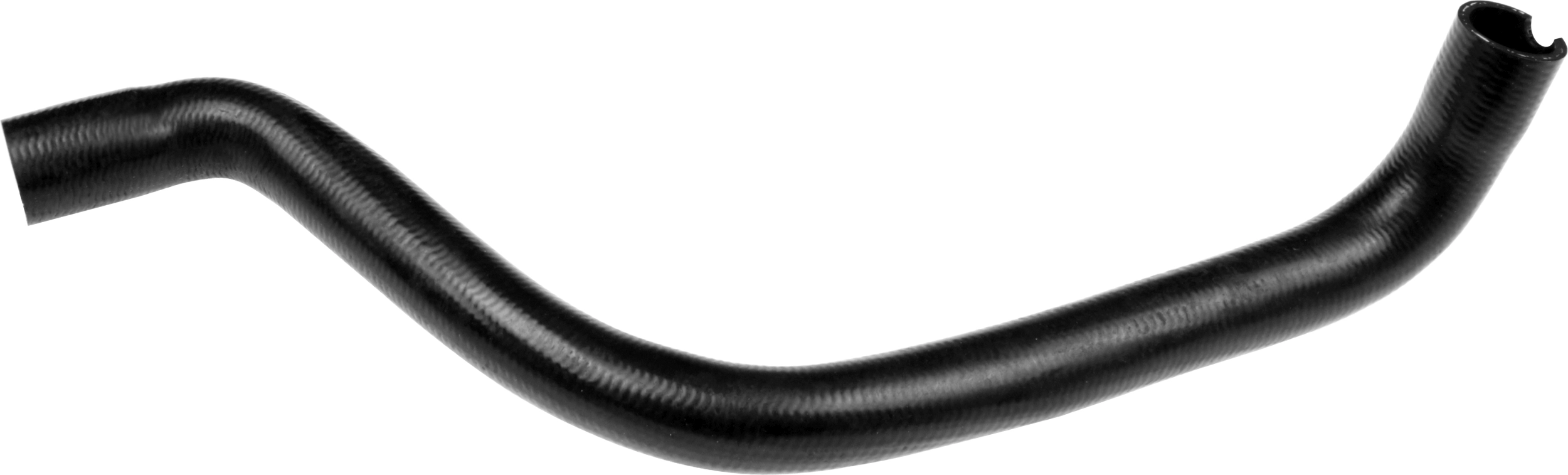 R11118