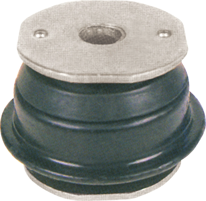 R55196
