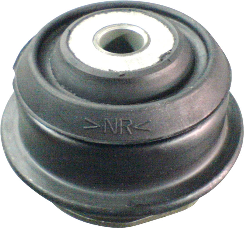 R55199