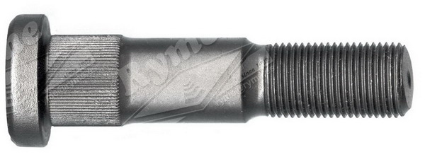 15730823