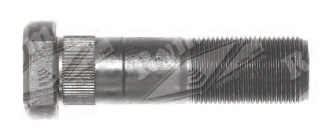 3894010071S2