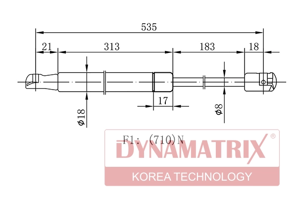 DGS100029