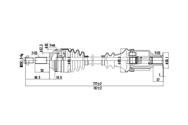 DDS250323
