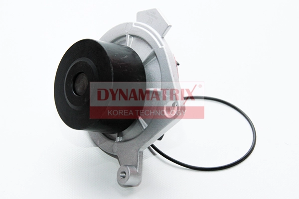 DWPS210
