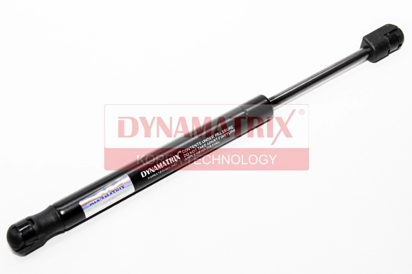 DGS017120