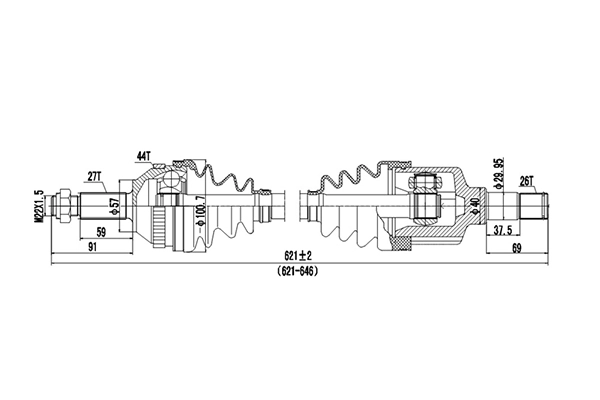 DDS218002