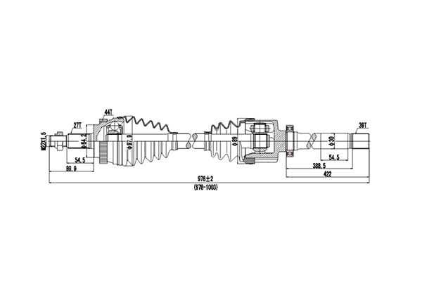 DDS250019