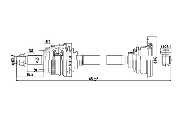 DDS250166