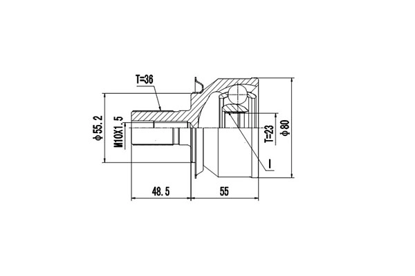 DCV818203