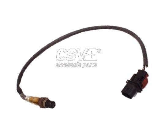 CSL2613