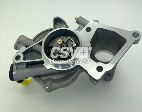 CBV1253