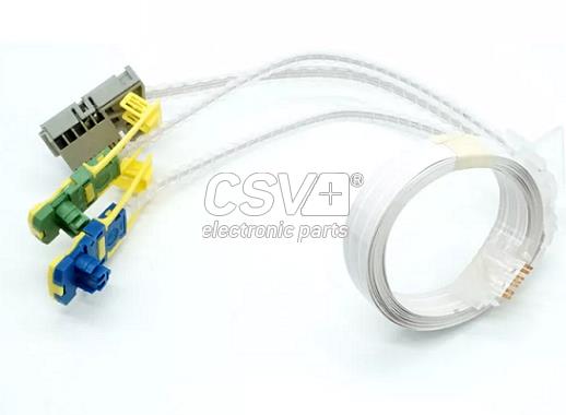 CAV1193