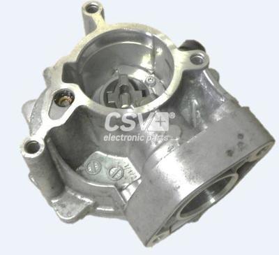 CBV1263