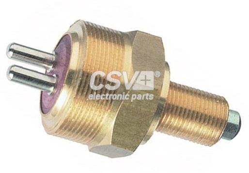 CIS6100