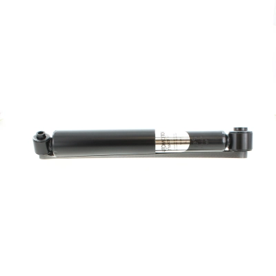 PSG4481