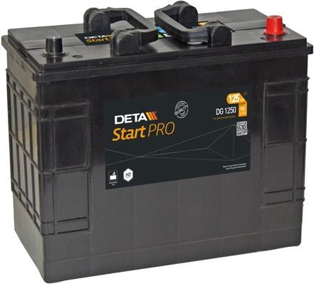 DG1250