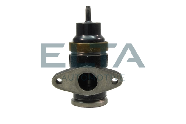 EE6338