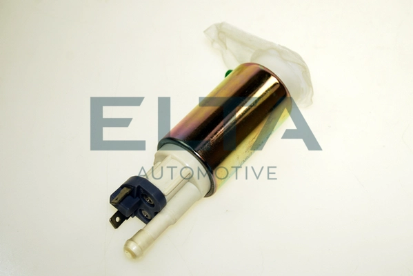 EF2021