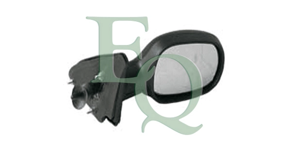 RS00901