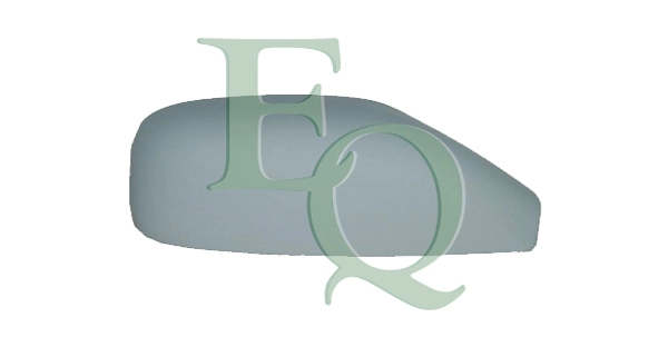 RS00889