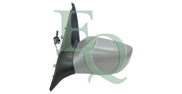 RS00313