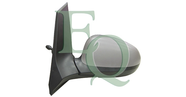 RS02821