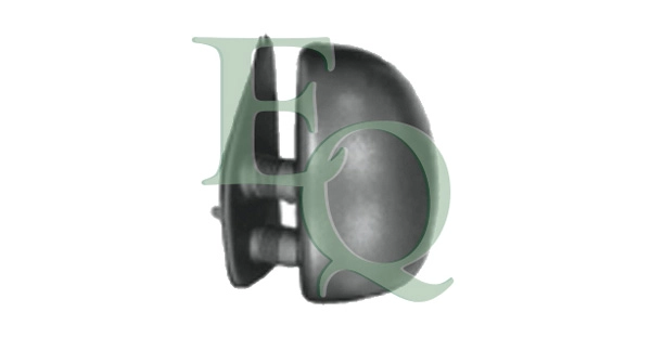 RS00216