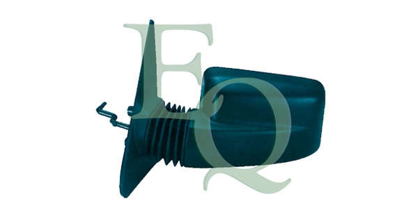 RS00119