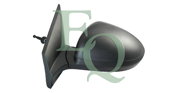 RS01307