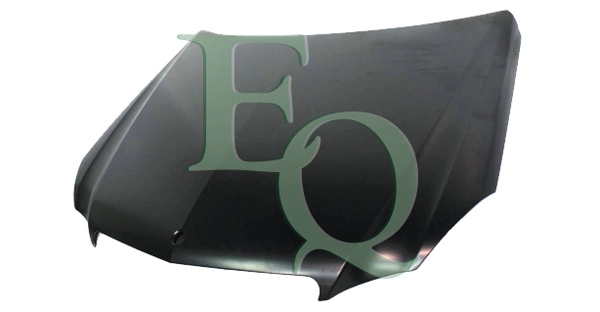 L05911