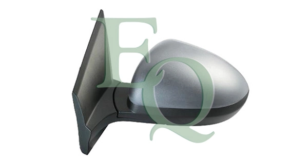 RS01309