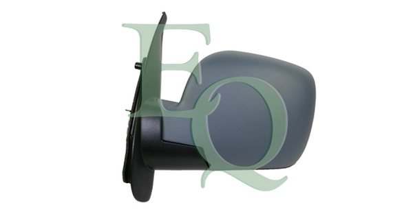 RS02599