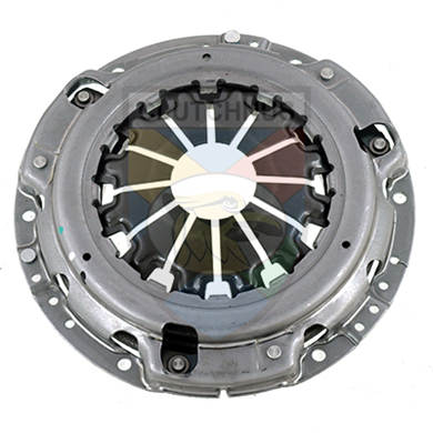 SMPG15