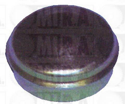 06509738AA