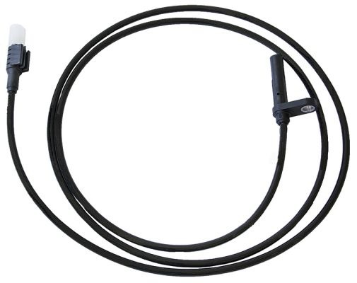 BSW1244