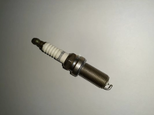QSP6