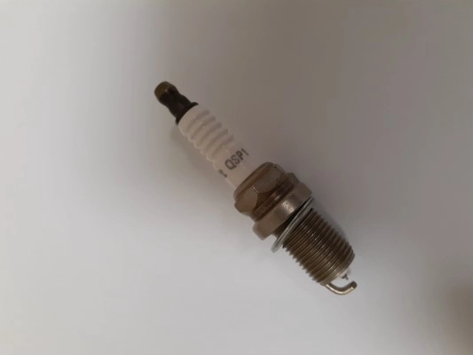 QSP1