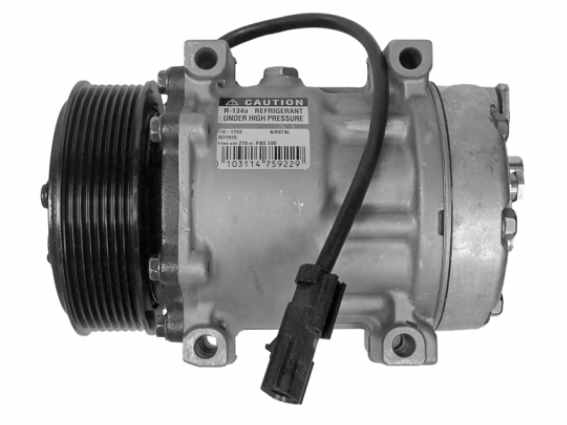 55036561