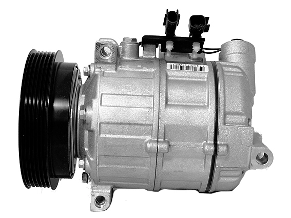 LR005341