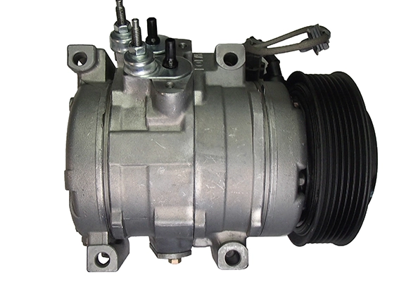 MK582684
